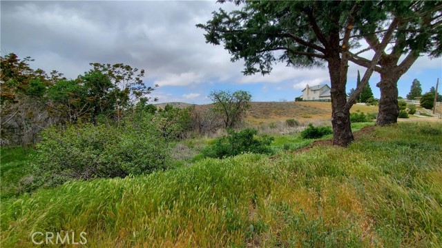 0 Rimford Drive Drive, Elizabeth Lake, California 93532, ,Land,For Sale,0 Rimford Drive Drive,CRSR23075504