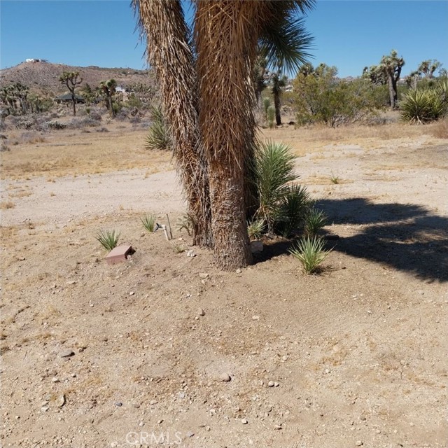 Detail Gallery Image 4 of 6 For 57976 Buena Vista Dr, Yucca Valley,  CA 92284 - 2 Beds | 2 Baths