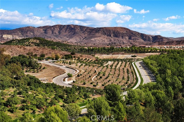 Detail Gallery Image 59 of 65 For 51 Thoroughbred, Irvine,  CA 92602 - 4 Beds | 3 Baths