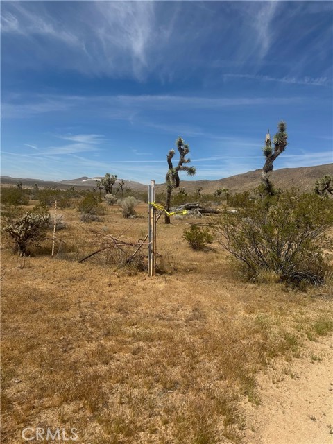 Detail Gallery Image 5 of 19 For 26705 Corwin, Apple Valley,  CA 92307 - – Beds | – Baths