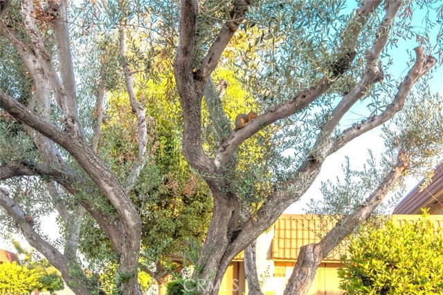 Detail Gallery Image 67 of 68 For 6638 Southampton Dr, Cypress,  CA 90630 - 4 Beds | 3 Baths