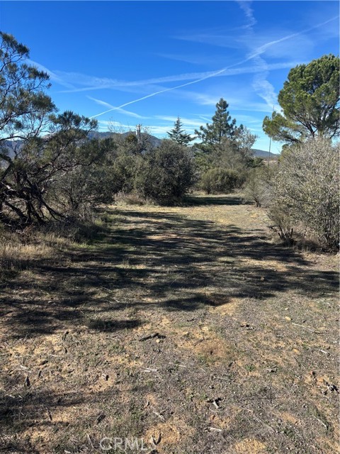 54648 Glasgow Road, Anza CA: https://media.crmls.org/medias/c23614d0-dbf2-42d0-bd3d-e4bd56d79ad5.jpg