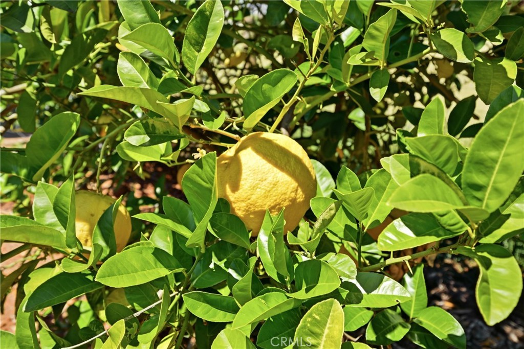 https://media.crmls.org/medias/c2402912-88cf-478b-8e66-f6fec431747f.jpg?preset=X-Large