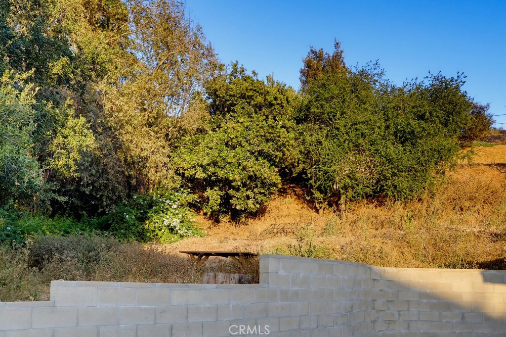 https://media.crmls.org/medias/c24607e3-1bdf-4518-80e2-14af39548b2e.jpg?preset=X-Large