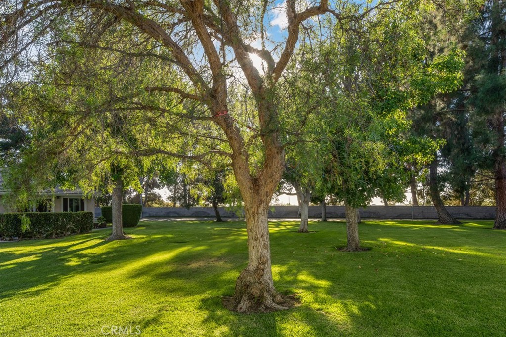 https://media.crmls.org/medias/c246a2bd-3f4a-48e6-bb0a-01460927cb99.jpg?preset=X-Large