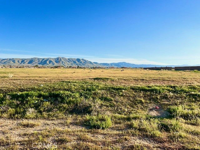 Detail Gallery Image 2 of 5 For 0 Sequoia St, Apple Valley,  CA 92308 - – Beds | – Baths