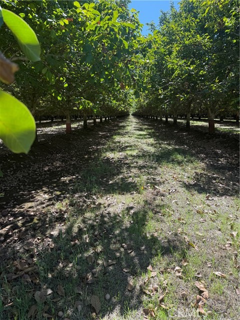 Detail Gallery Image 19 of 19 For 0 Rawson Road, Gerber,  CA 96035 - – Beds | – Baths