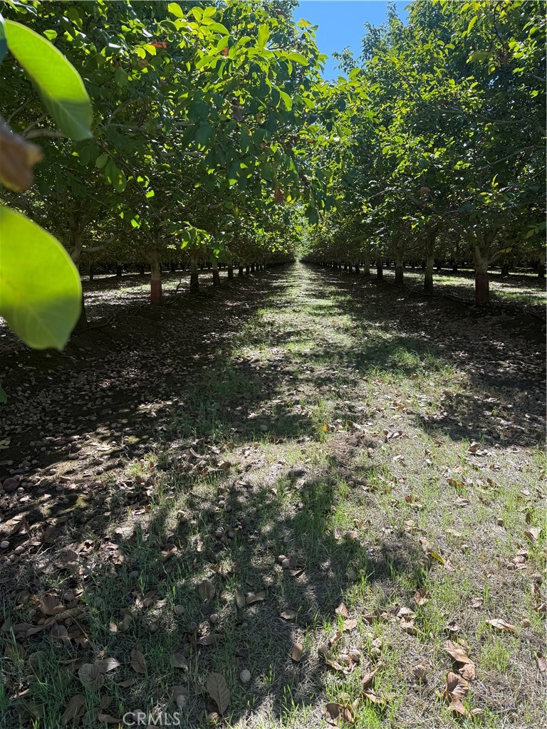 MLS #SN25233384 image #18