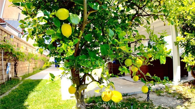 Detail Gallery Image 57 of 61 For 6 Skyline, Phillips Ranch,  CA 91766 - 4 Beds | 3 Baths