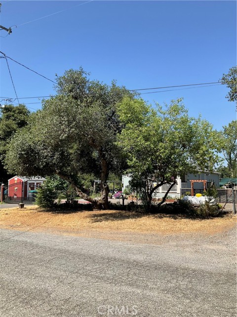 8435 HOLLIS Street, Los Molinos CA: https://media.crmls.org/medias/c261f40e-5b2d-49d9-98c1-db95845c0842.jpg