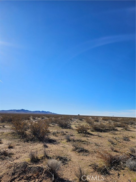 Detail Gallery Image 3 of 3 For 0 Buckthorne Canyon Rd, Adelanto,  CA 92301 - – Beds | – Baths