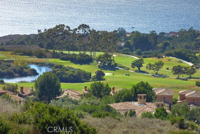 Detail Gallery Image 74 of 75 For 30 Pelican Crest Dr, Newport Coast,  CA 92657 - 5 Beds | 5/2 Baths
