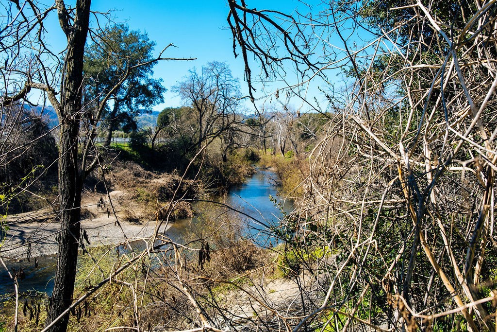 C268F74A F3A7 4Fde Ad0F A5Aa942Fee50 1001 Silverado Trail South, St. Helena, Ca 94574 &Lt;Span Style='BackgroundColor:transparent;Padding:0Px;'&Gt; &Lt;Small&Gt; &Lt;I&Gt; &Lt;/I&Gt; &Lt;/Small&Gt;&Lt;/Span&Gt;