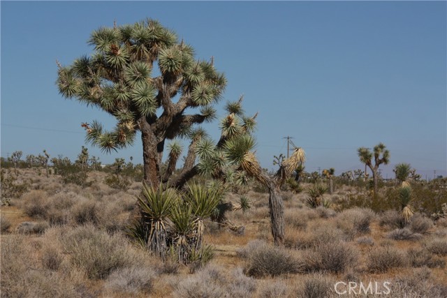 0 Songbird Lane, Yucca Valley, California 92264, ,Land,For Sale,0 Songbird Lane,CRJT23189101