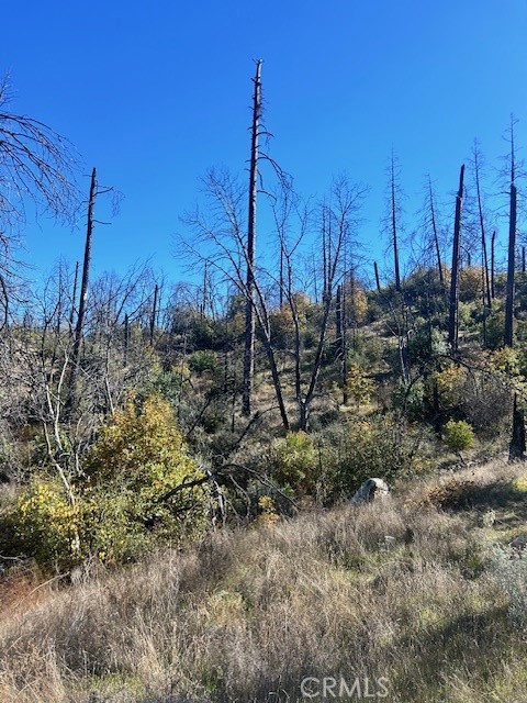 Detail Gallery Image 18 of 39 For 0 Craig Access, Feather Falls,  CA 95940 - – Beds | – Baths