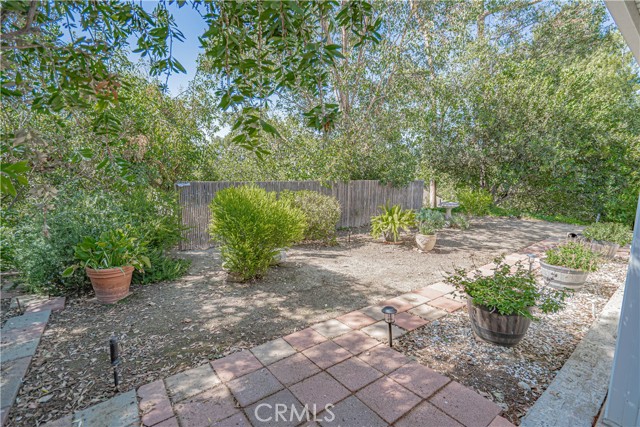Rear Oasis