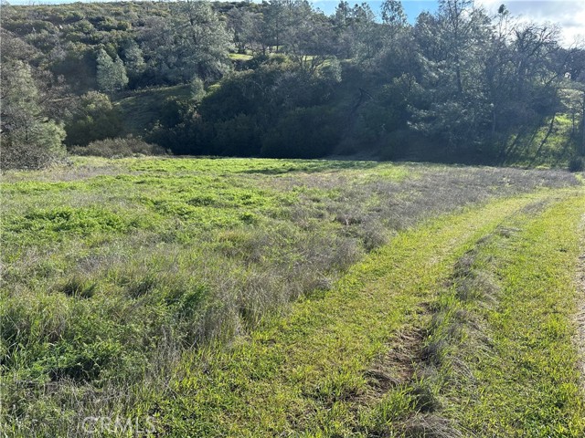 Detail Gallery Image 13 of 23 For 25156 E State Hwy 20, Clearlake Oaks,  CA 95423 - – Beds | – Baths