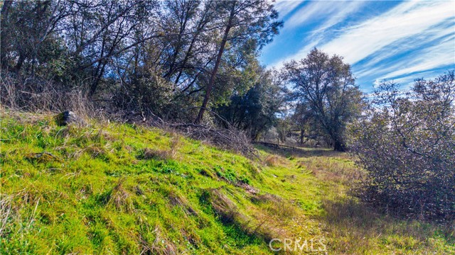 Detail Gallery Image 34 of 43 For 2320 Painted Pony Rd, Somerset,  CA 95684 - – Beds | – Baths