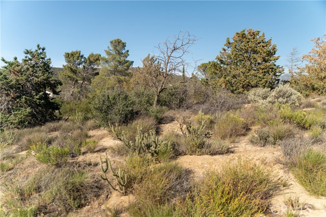Detail Gallery Image 62 of 71 For 61826 Spanish Dagger Ln, Anza,  CA 92539 - 2 Beds | 2 Baths