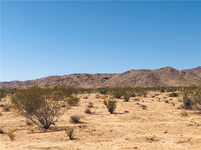 Detail Gallery Image 2 of 10 For 2 Geronimo Trl, Landers,  CA 92285 - – Beds | – Baths