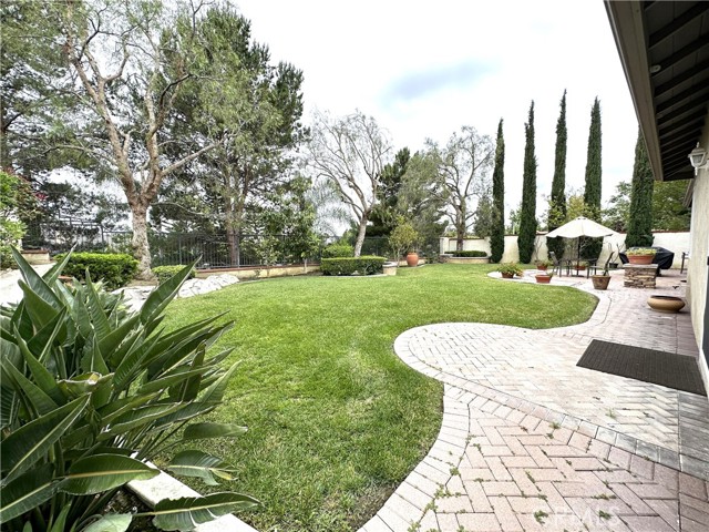 Large Back Yard