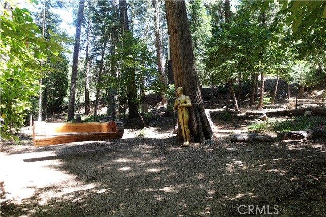 27992 Rainbow Drive, Lake Arrowhead, California 92352, ,Commercial Sale,For Sale,27992 Rainbow Drive,CRTR25010871