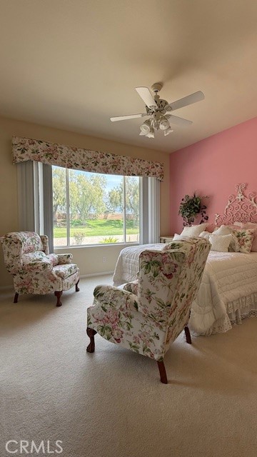 Detail Gallery Image 19 of 31 For 322 Brooklawn Dr, Banning,  CA 92220 - 2 Beds | 2 Baths