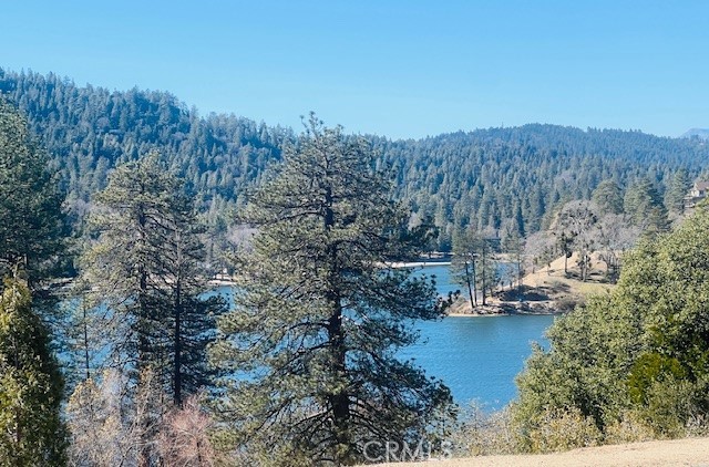 470 Dunant Drive, Crestline CA: https://media.crmls.org/medias/c281a680-2199-4440-a810-ea6f455d36c6.jpg