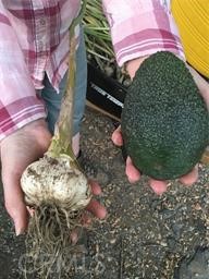 Detail Gallery Image 11 of 11 For 0 via Barranca, Temecula,  CA 92590 - – Beds | – Baths