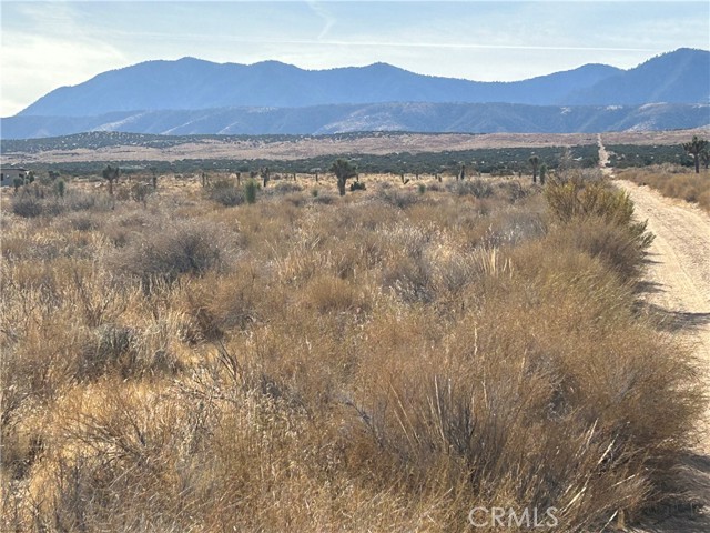 Detail Gallery Image 10 of 36 For 0 X8 Vac Corner Ave#Drt, Llano,  CA 93544 - – Beds | – Baths