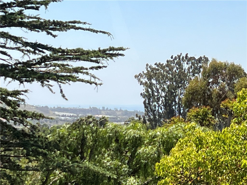 https://media.crmls.org/medias/c28d10c0-e31d-4cf0-bc81-d987df0de5af.jpg?preset=X-Large