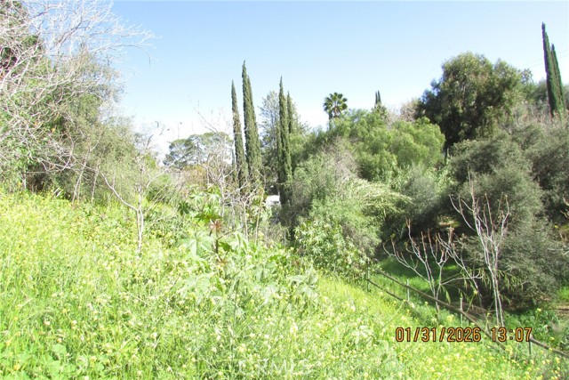 Detail Gallery Image 11 of 51 For 8001 Denivelle Rd., Sunland,  CA 91040 - – Beds | – Baths