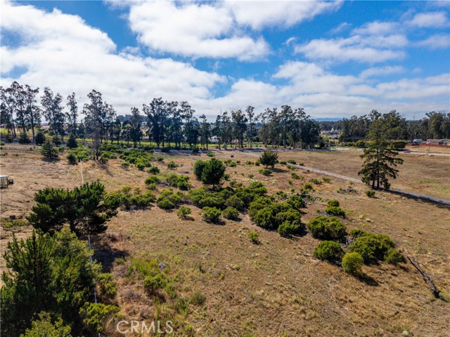 1255 Viva Way, Nipomo CA: https://media.crmls.org/medias/c28f64df-16ad-485a-8994-7adcebb3939c.jpg