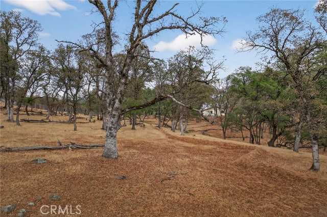 MLS #SN25226887 image #51