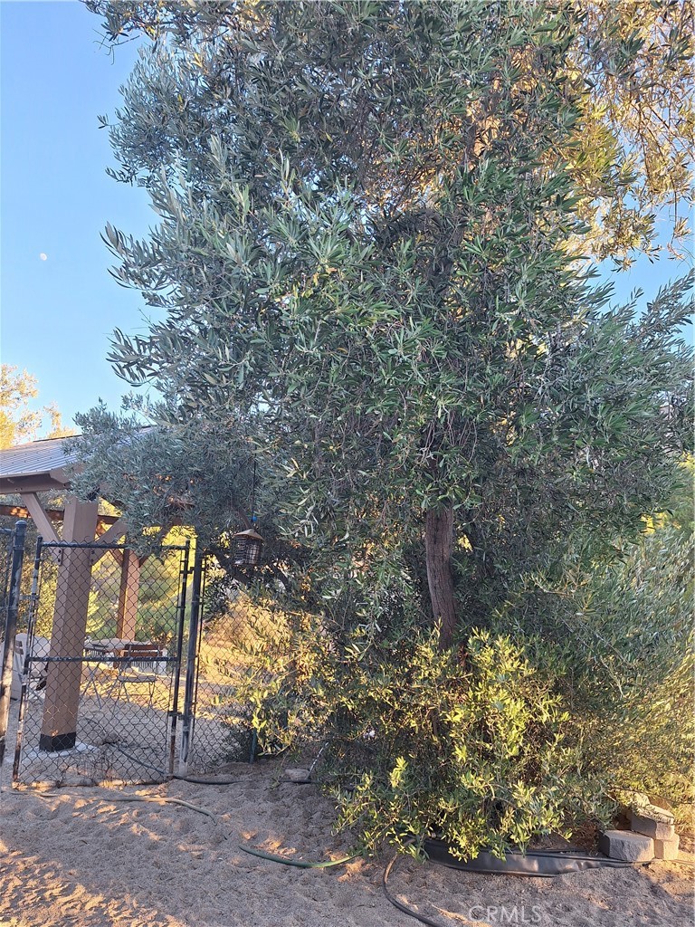 https://media.crmls.org/medias/c29ef419-0f54-4379-af64-07dfca281c96.jpg?preset=X-Large