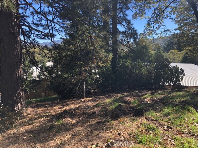 29151 Lyon, Cedar Glen, CA, 92321 29151 Lyon, Cedar Glen, CA, 92321