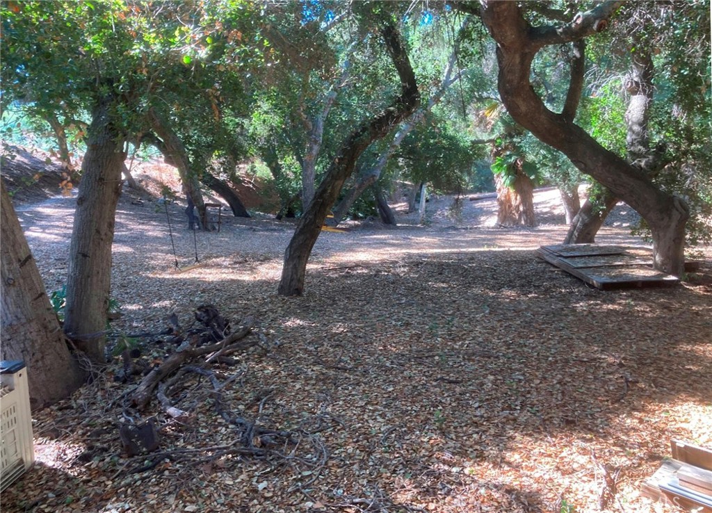 MLS #SW24226307 img 8