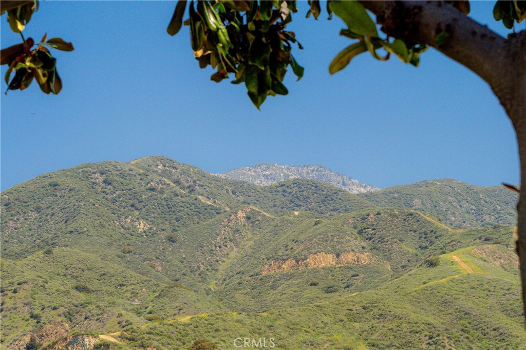 https://media.crmls.org/medias/c2b9de7a-8a3f-460b-afba-c1f723fc08b5.jpg?preset=X-Large