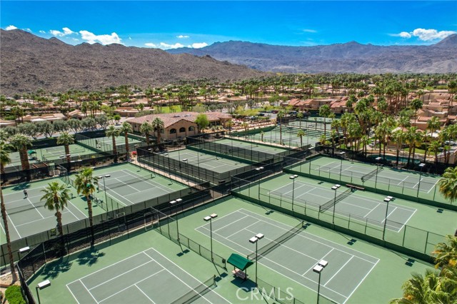 Image 39 of 45 For 73575 Encelia