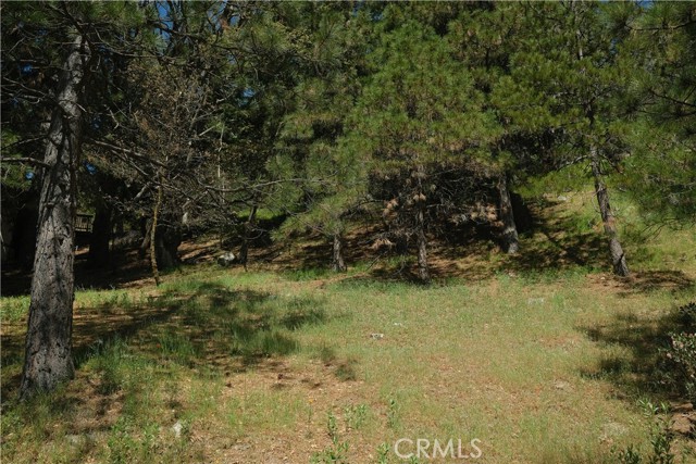 0 Thunderbird Drive, Lake Arrowhead CA: https://media.crmls.org/medias/c2bf0363-3e59-41f3-9bc4-9f33ca71edbf.jpg