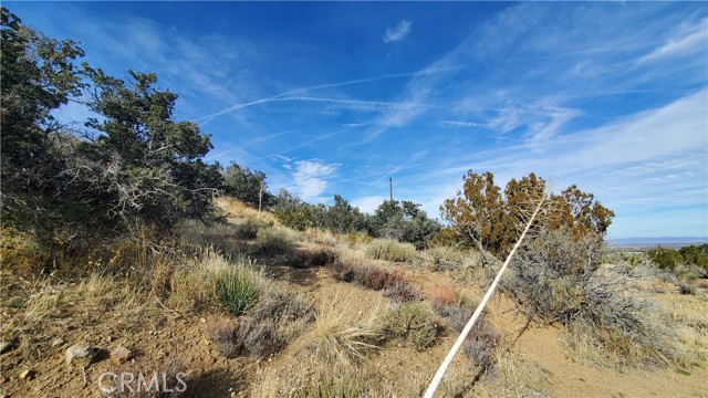 MLS #SR25242278 image #23