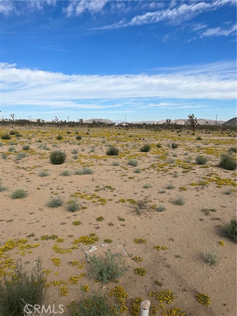 832 Bonita Avenue, Yucca Valley, California 92285, ,Land,For Sale,832 Bonita Avenue,CRIV23177672