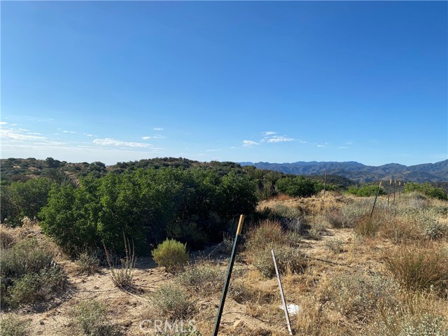 Detail Gallery Image 17 of 28 For 63151 Table Mountain Truck, Anza,  CA 92561 - – Beds | – Baths