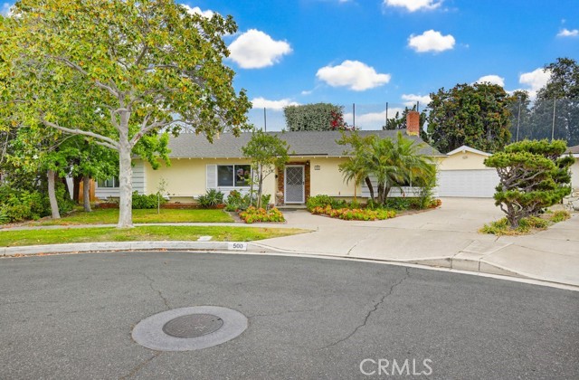 Front Image Thumbnail for CROC26084536