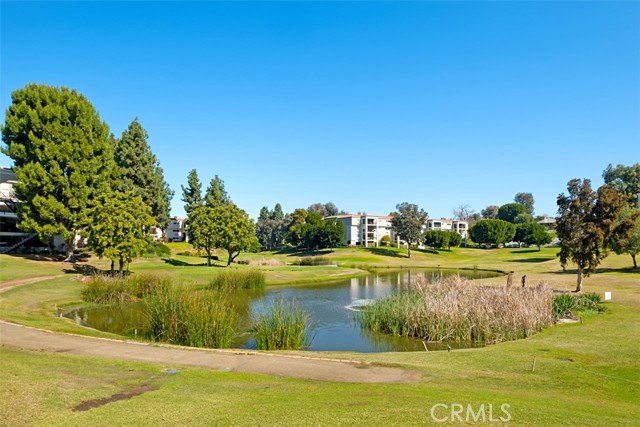 Detail Gallery Image 54 of 70 For 24055 Paseo Del Lago #411,  Laguna Woods,  CA 92637 - 1 Beds | 1/1 Baths