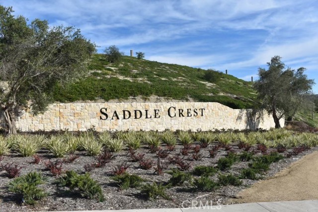 Front Image Thumbnail for CRPW25244498