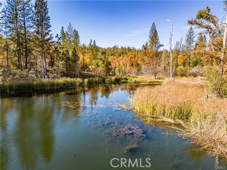 Detail Gallery Image 17 of 54 For 4816 Stumpfield Mountain Rd, Mariposa,  CA 95338 - 2 Beds | 2 Baths