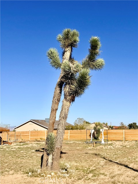 Detail Gallery Image 32 of 38 For 58271 Caliente St, Yucca Valley,  CA 92284 - 3 Beds | 2 Baths