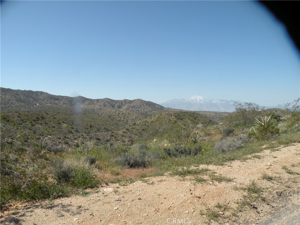 MLS #AR24255987 image #2