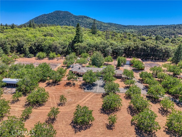 8700 Red Hills Road, Kelseyville CA: https://media.crmls.org/medias/c2e0883f-82ca-41f2-81c8-83e2e5327bbf.jpg